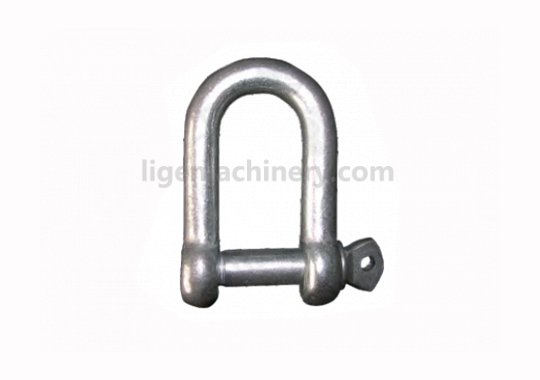 European Type Dee Shackle