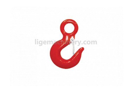 G80 Eye Hook With Latch