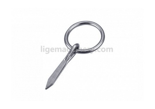 Stainless Steel Ring Nail
