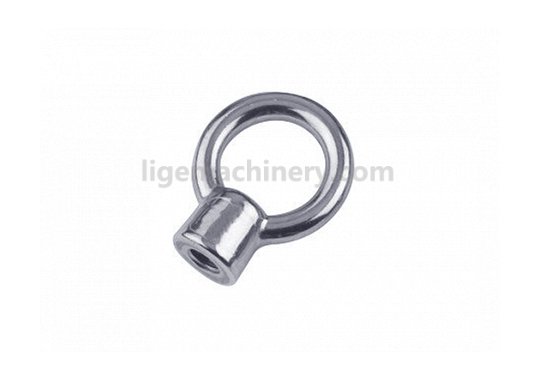 Stainless Steel Eye Nut JIS 1168