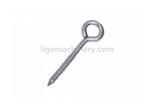 Stainless Steel Lag Eye Screw