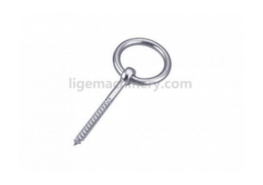 Stainless Steel Lag Ring Bolt