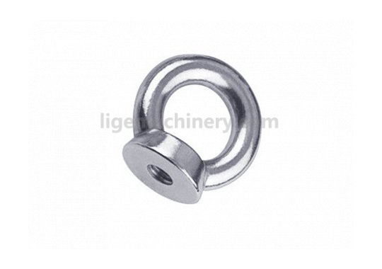 Stainless Steel Eye Bolt DIN582