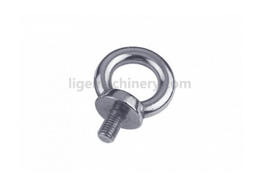 Stainless Steel Eye Bolt DIN580