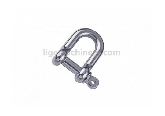 Stainless Steel D Shackle