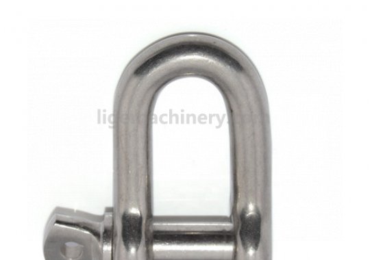 Stainless Steel US Type Dee Shackle G210
